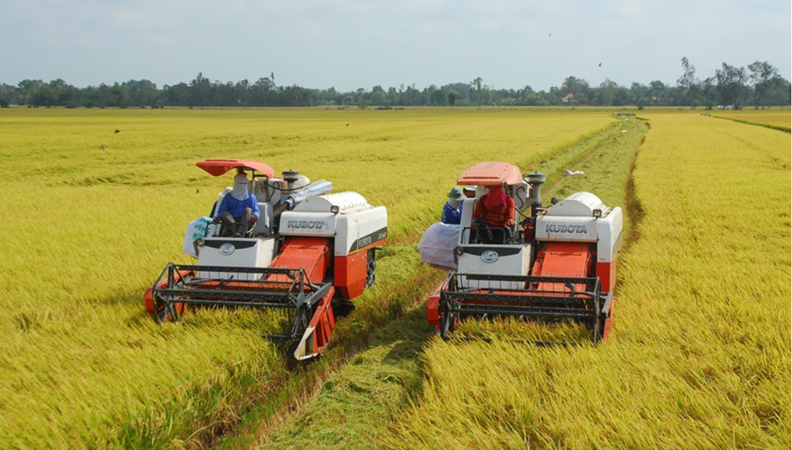 Lúa gạo Việt Nam với mục tiêu minh bạch, trách nhiệm vì cộng đồng và thương hiệu (16/07/2024)